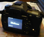 P1000035.JPG