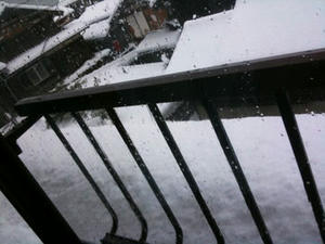 nikki_H22.12.31_02.jpg