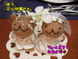 [画像:WDベアー]