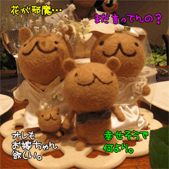 [画像:家族再会]