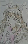 rabit.jpg