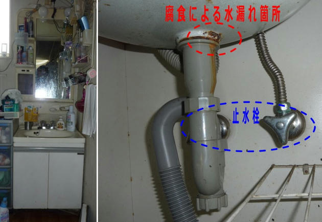 20110611_101.jpg