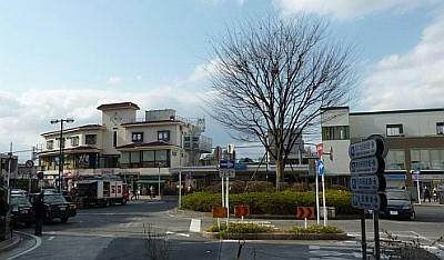 20120311_013.jpg