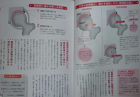 20120320_2.jpg