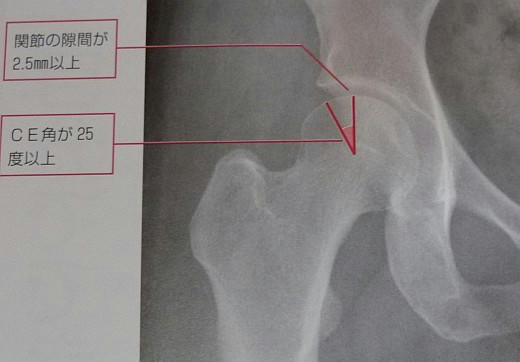 20120414_00.jpg