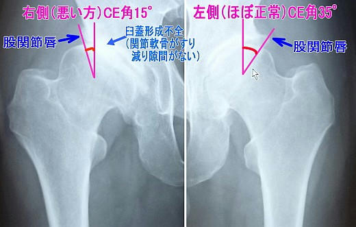 20120414_01s.jpg