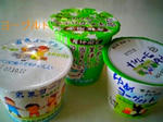 yogu3.JPG