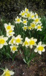 080417_064102.jpg