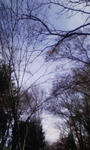 081127_094447.jpg