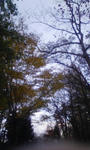 DVC00181.jpg
