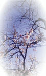 090417_155519_ed.jpg