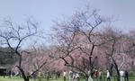 090429_105626_ed.jpg