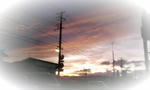 090929_173633_ed.jpg