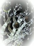 2009122817080000_ed.jpg