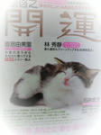 2009122916520000_ed.jpg