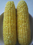201006donichi.jpg