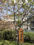 2011051511180001.jpg