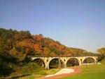 201111meganebashi.jpg