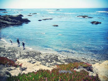glassbeach.jpg