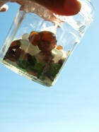 seaglass3.JPG