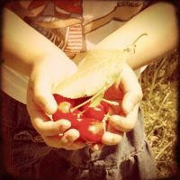 cherryp.jpg