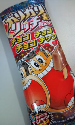 ガリガリ君リッチ チョコチョコチョコチップ