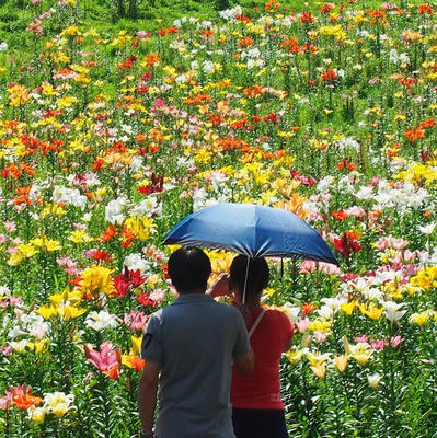 デートの後は、ラブホテル宇都宮JDに行こう