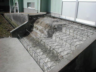 P3180250-1.JPG