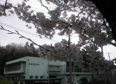 P4110057.JPG
