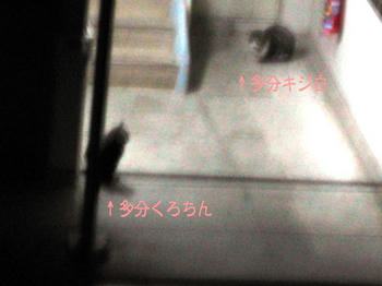 微妙な距離…？