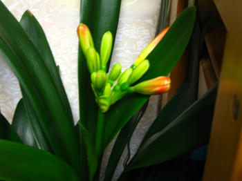 こっちももうすぐ