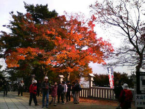大山の紅葉