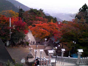 大山の紅葉
