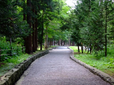 北海道神宮 鎮守の森