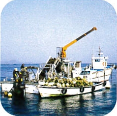 牡蠣スモーク缶詰