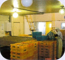 牡蠣スモーク缶詰