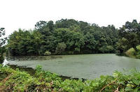 土井城沼