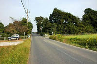 丸山城