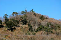 西側からの仲山城遠景