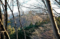 南東からの猪俣城の遠景