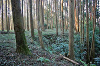 「岡部屋敷」
