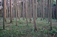 「岡部屋敷」