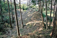 「中城」
