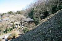 龍谷薬師