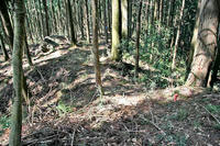 土橋と竪堀