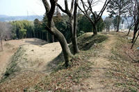 杉山城