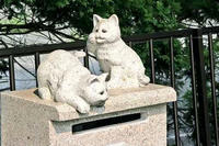 ねこポスト