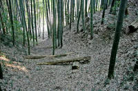 泉福寺館の堀跡