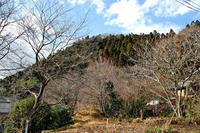 駒留城（まかぶ じょう）
