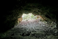 主郭南東の洞穴